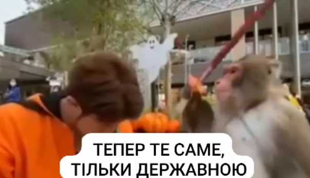Люди зустрічають інавгурацію Трампа мемами