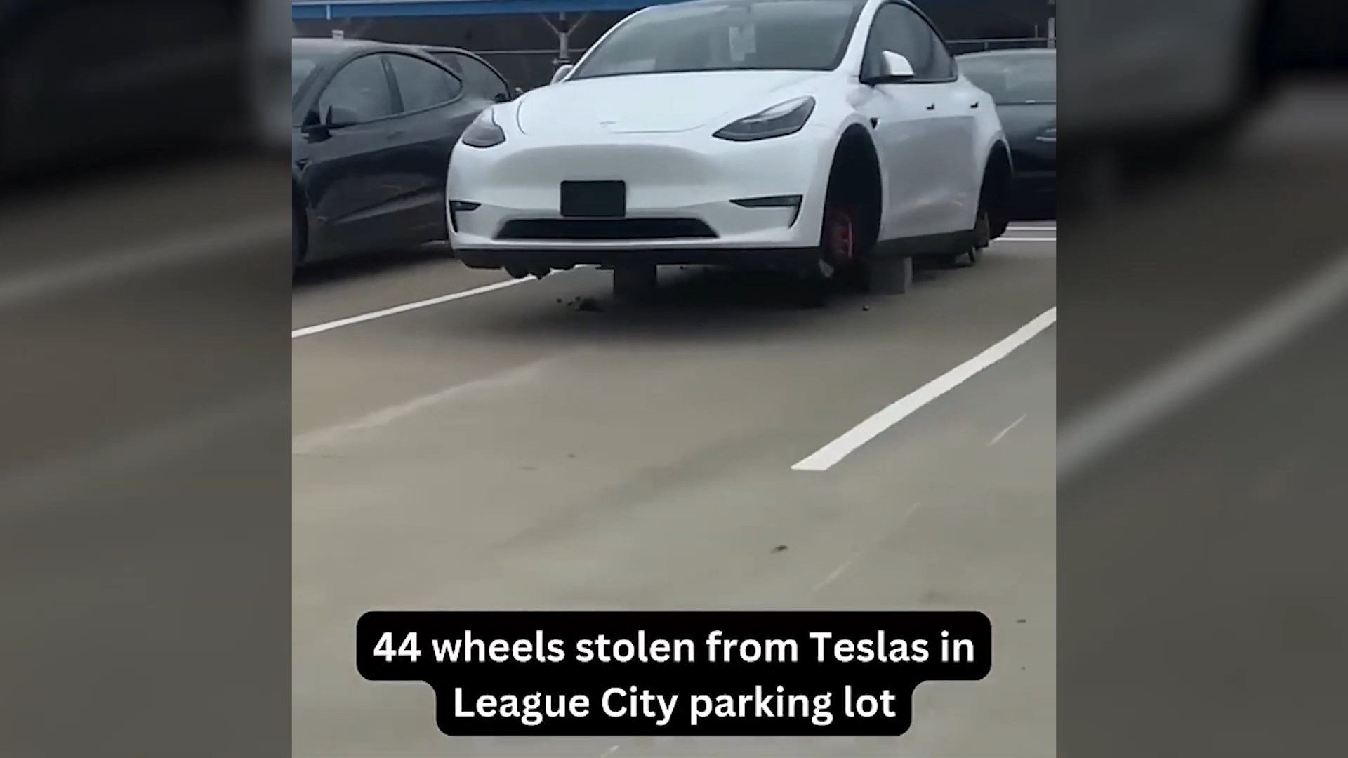 Бойкот Tesla набирає обертів