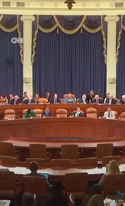 A Congressman's Outcry Over Committee Actions and Musk's Absence